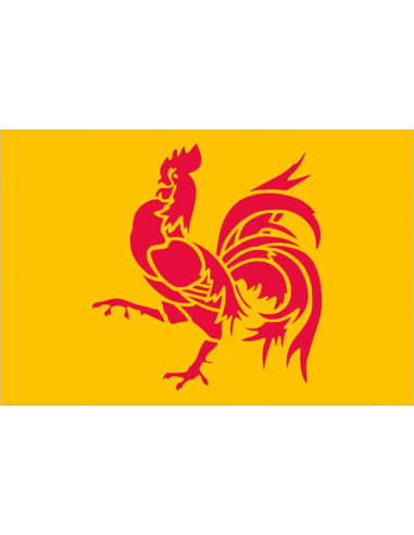 Bandera-Region-Wallonne-Valona