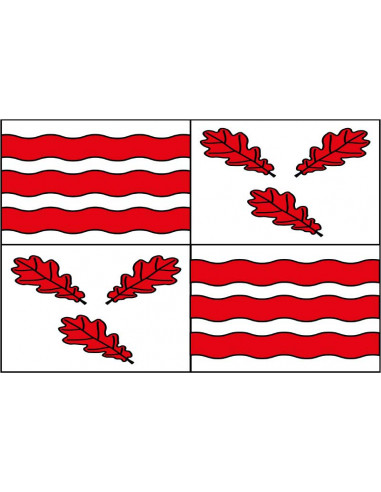 Bandera-de-Froidchapelle