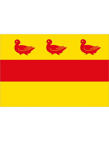 Bandera-de-Sombreffe