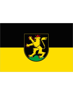 Bandera de Heidelberg