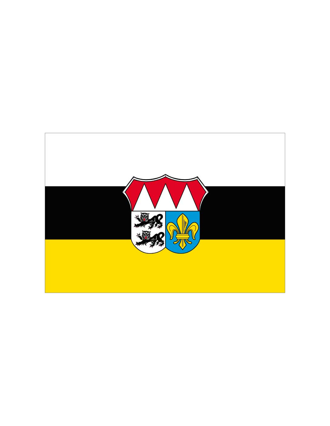 Bandera de LandKreis Würzburg. Wurzburgo