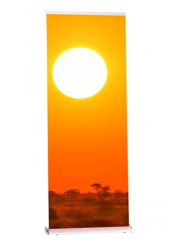 Roll-Up Banner Delight