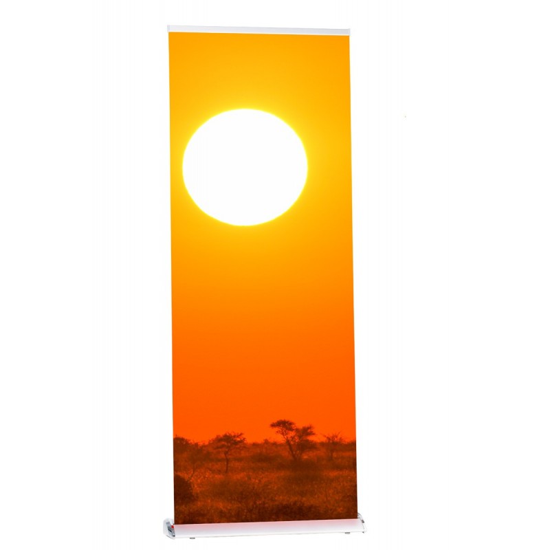 Roll-Up Banner Delight