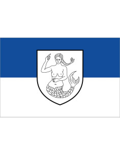 Bandera de Wangerland