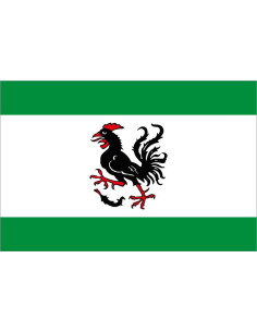 Bandera de Haan