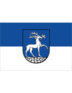 Bandera de Drensteinfurt