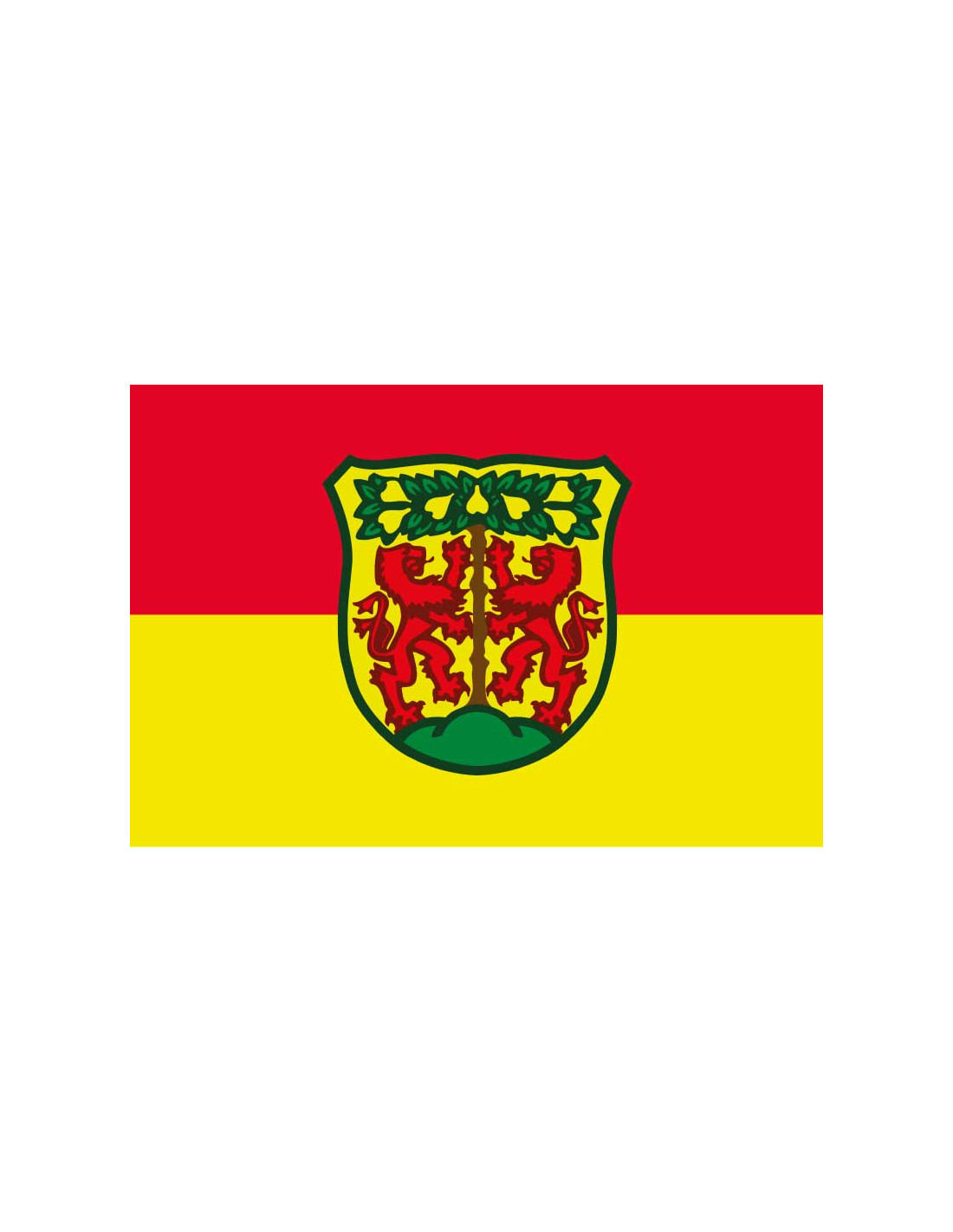 Bandera de Pirna