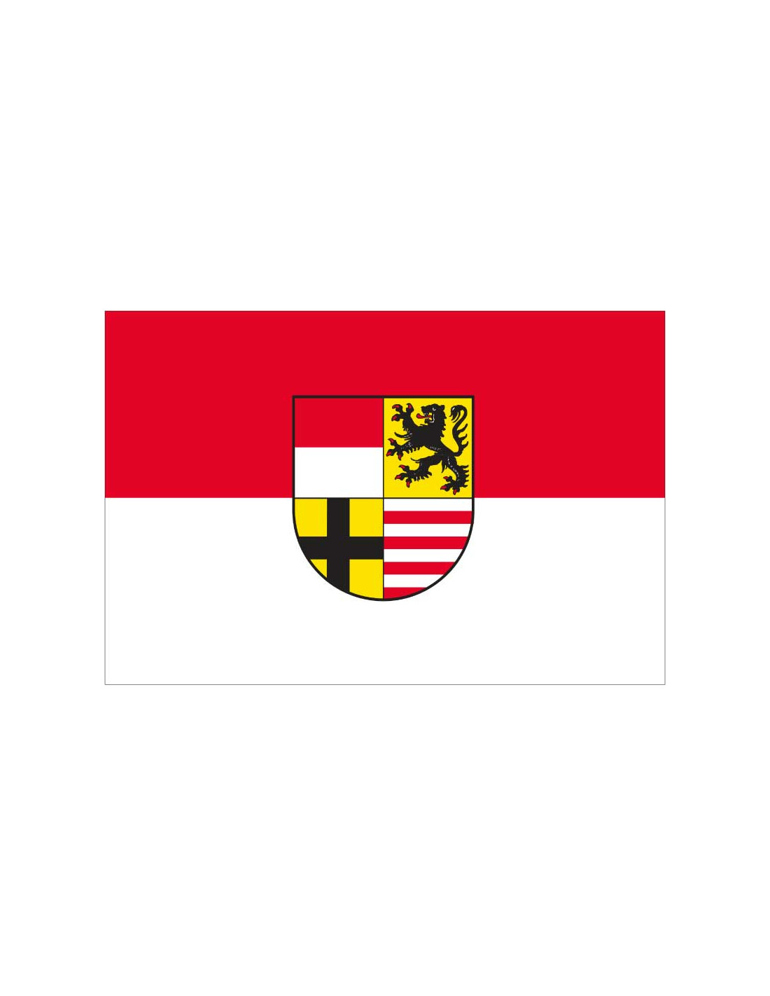 Bandera de Landkreis Saale