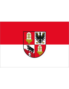 Bandera de Salzlandkreis