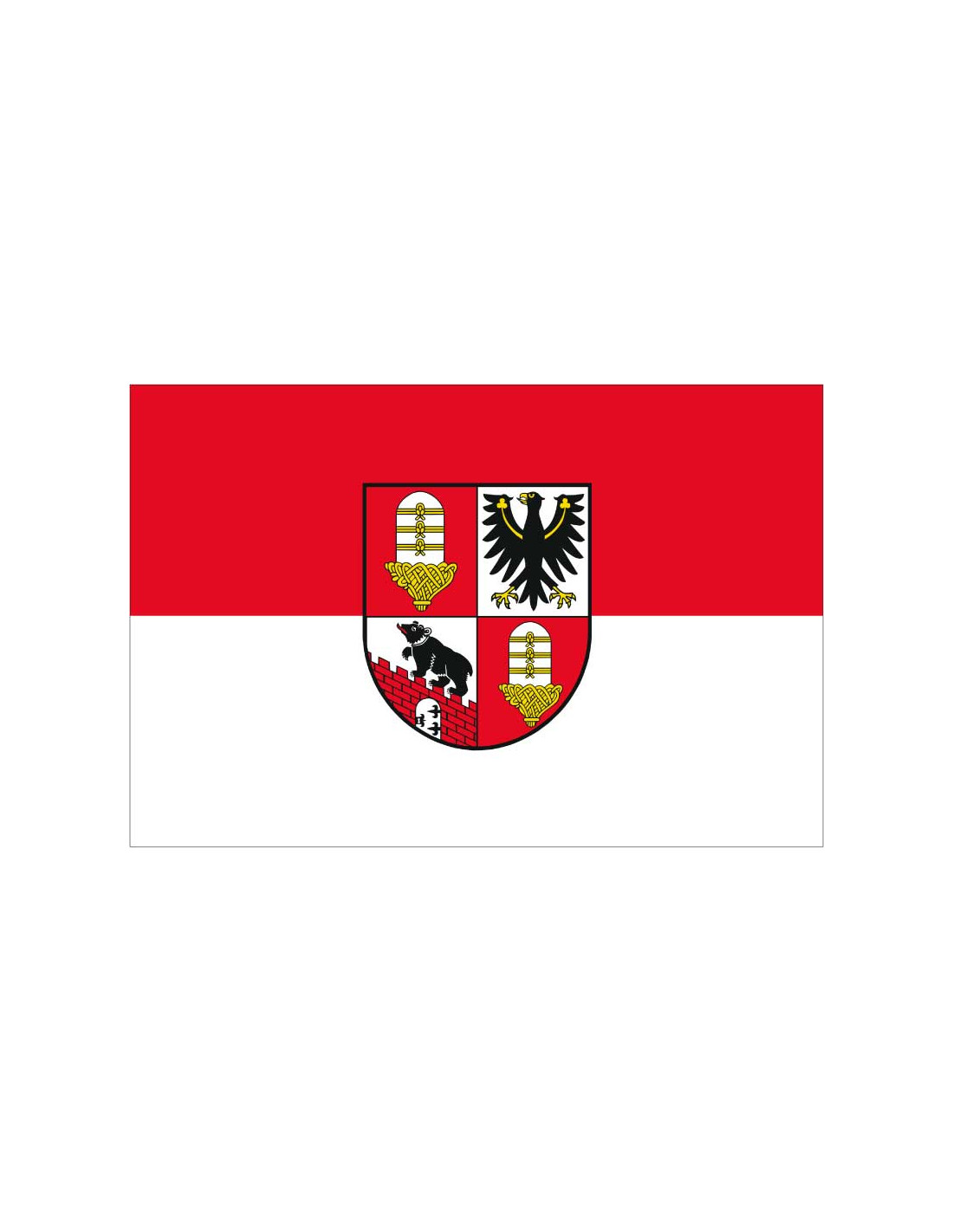 Bandera de Salzlandkreis