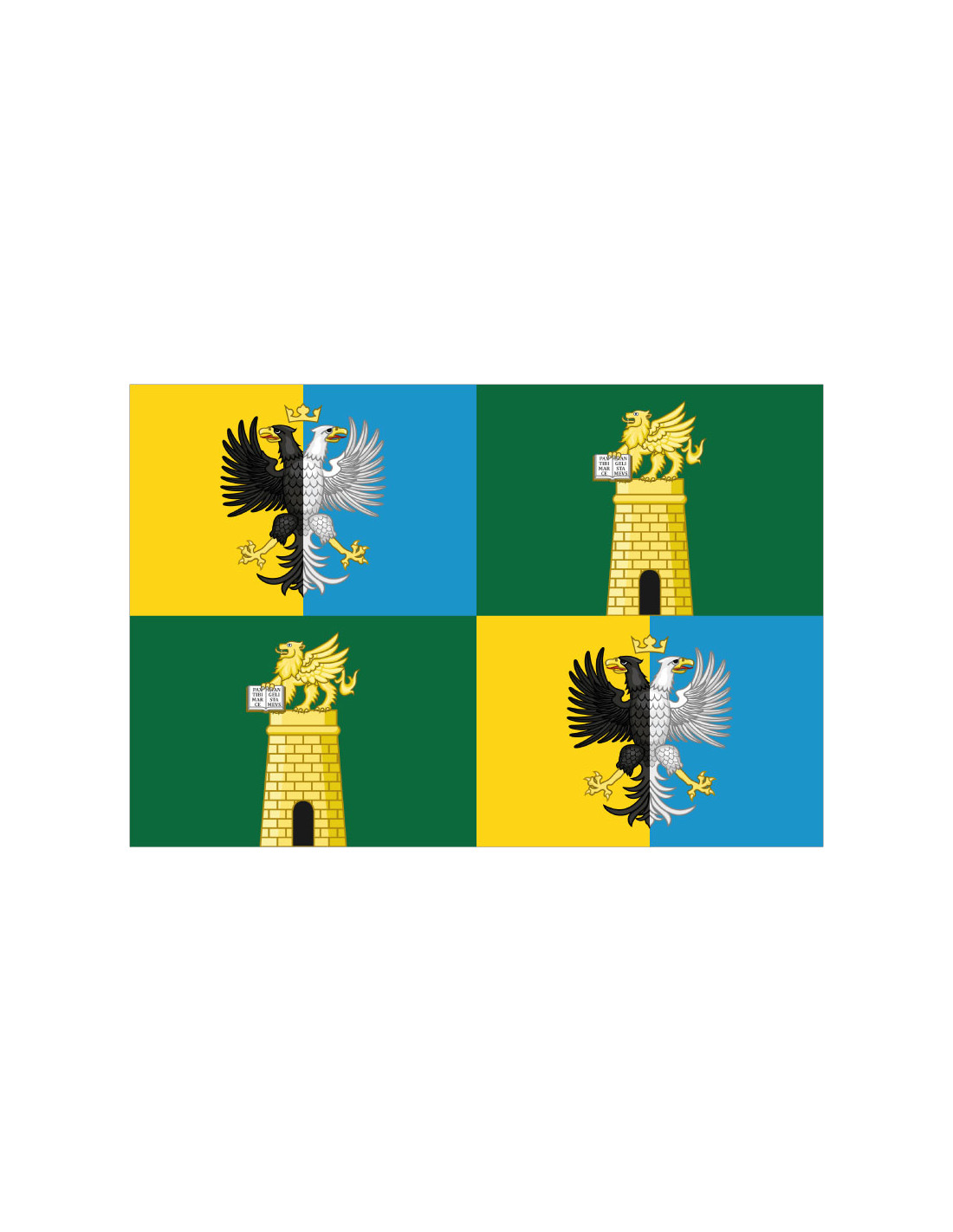 Bandera Provincia di Rovigo
