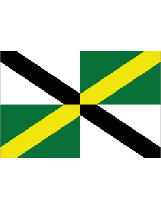 Bandera de Monterrey....