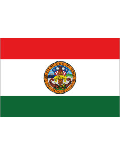 Bandera del Condado de San...