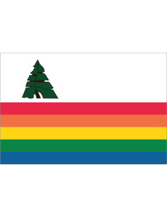 Bandera del Condado de...