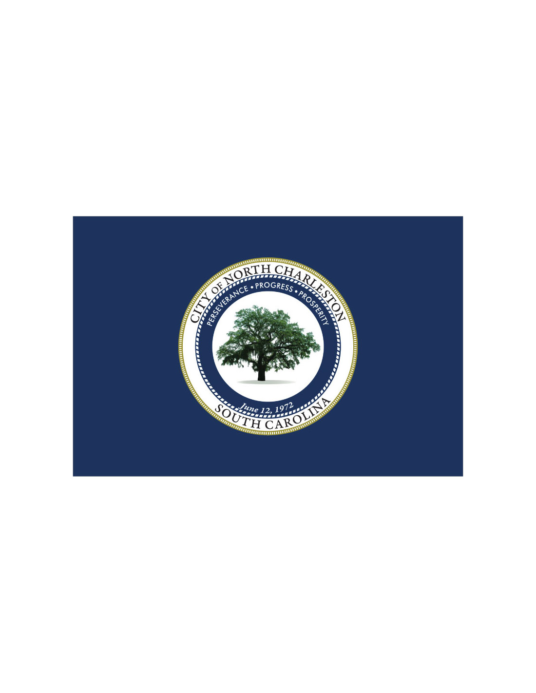 Bandera de North Charleston