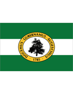 Bandera del Condado de...