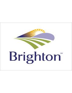 Bandera de Brighton