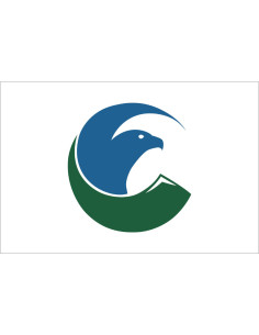 Bandera del Condado de Eagle