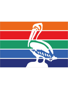 Bandera de St. Petersburg