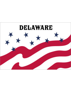 Bandera del Condado de...