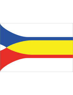 Bandera del Condado de...