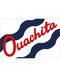 Bandera del Condado de...