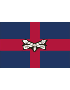 Bandera del Condado de...