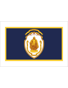 Bandera de Springfield....