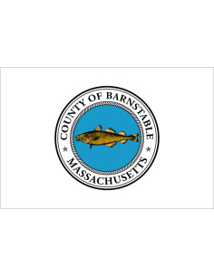 Bandera del Condado de...