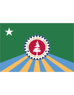 Bandera del Condado de Saginaw