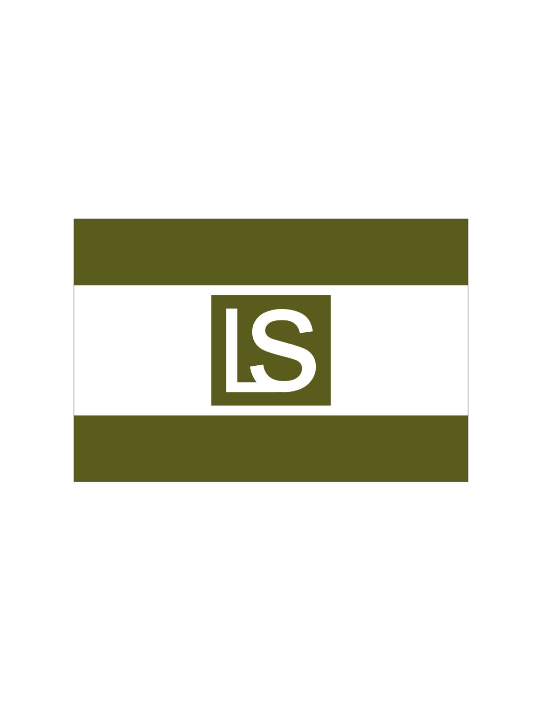 Bandera de Lee's Summit. Missouri