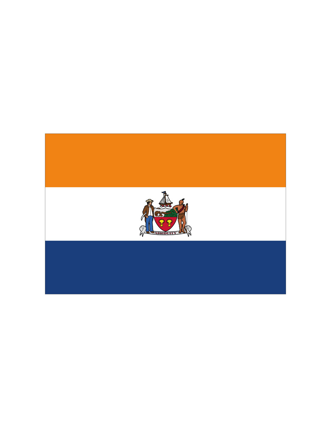 Bandera de Albany. New York