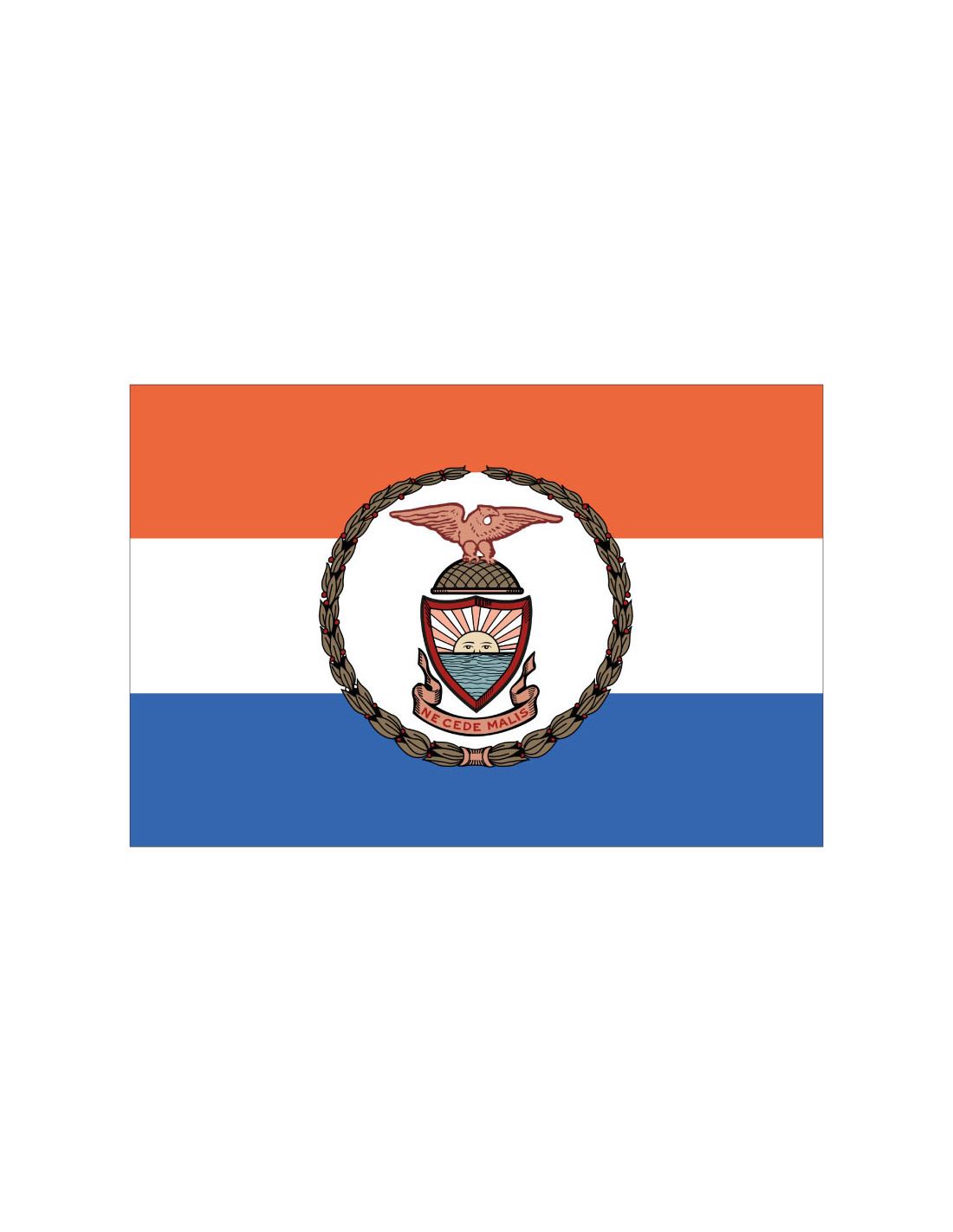 Bandera del Distrito de The Bronx