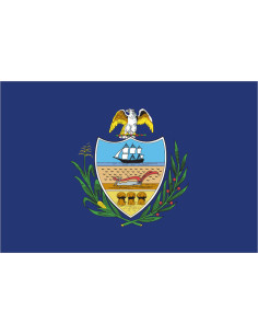 Bandera del Condado de...