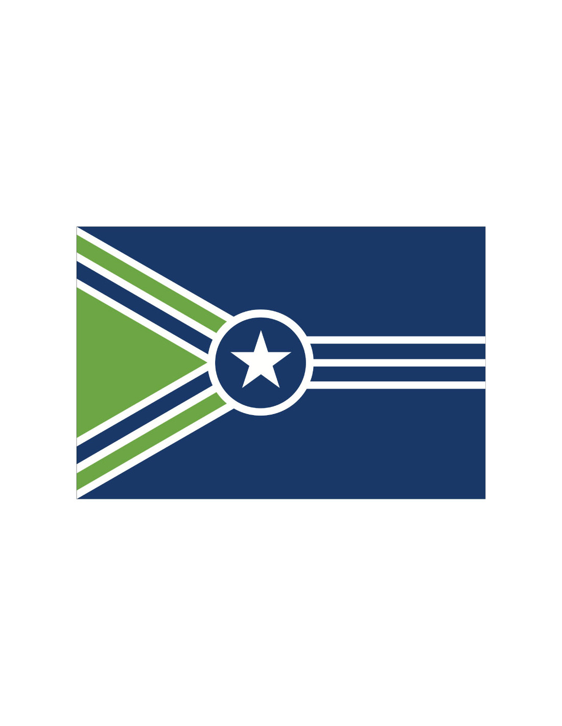 Bandera de Jackson. Tennessee