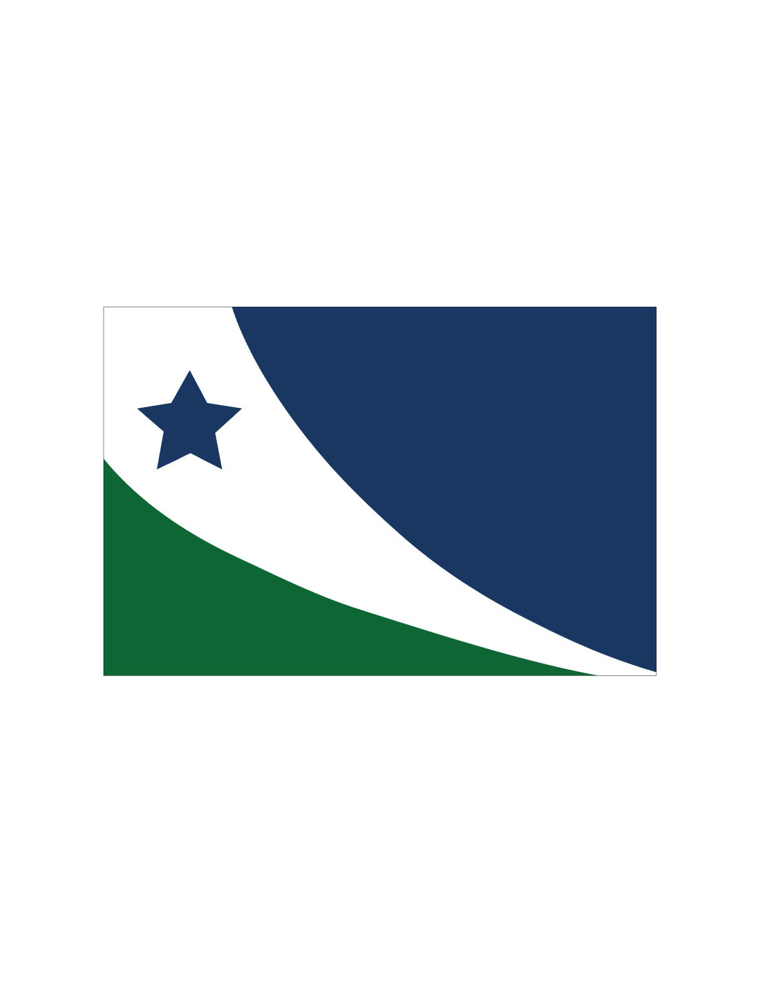 Bandera de Spring Hill. Tennessee