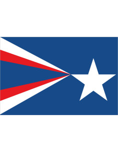 Bandera de Anthony. Texas
