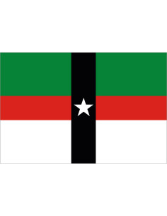 Bandera de Denison. Texas