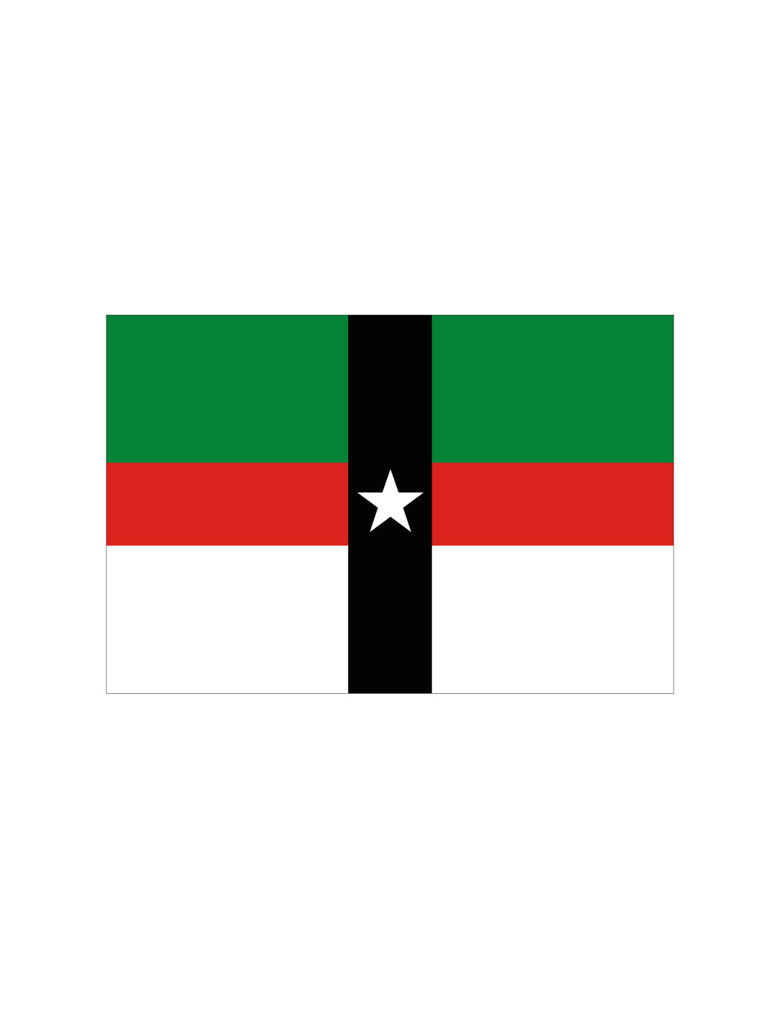 Bandera de Denison. Texas