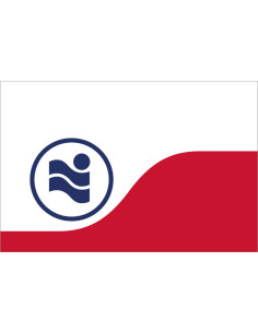 Bandera de Irving. Texas