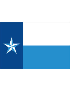 Bandera del Condado de Dallas