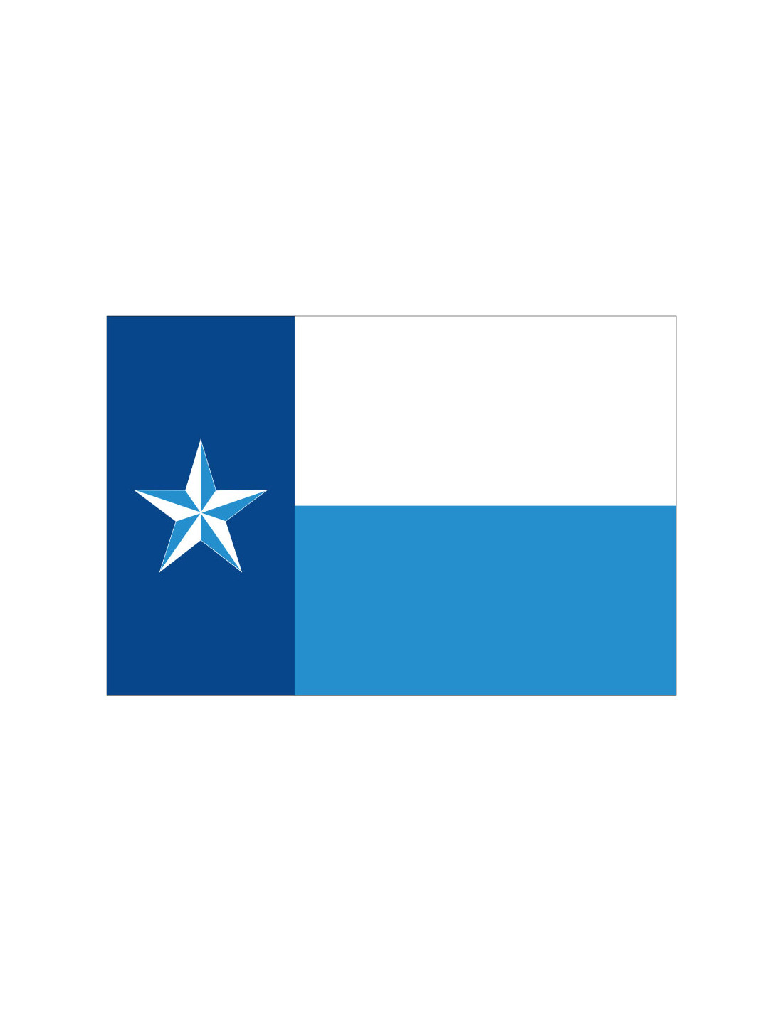 Bandera del Condado de Dallas