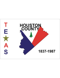 Bandera del Condado de Houston