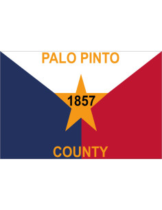 Bandera del Condado de Palo...