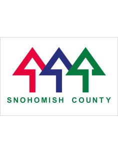 Bandera del Condado de...