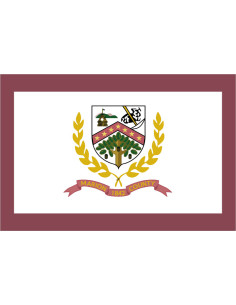 Bandera del Condado de...