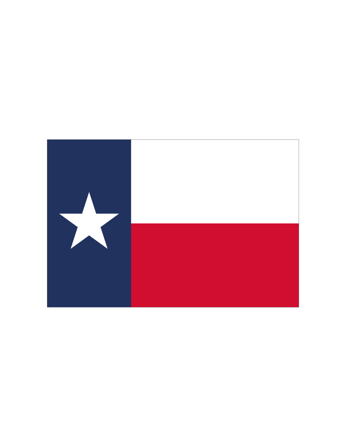 Bandera del Estado de Texas