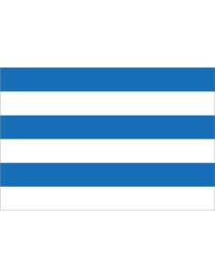 Bandera de Tallin. Estonia