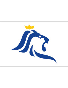 Bandera de la Ciudad de...