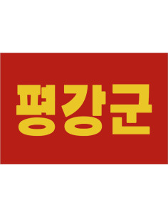 Bandera de Pionyang. Corea...